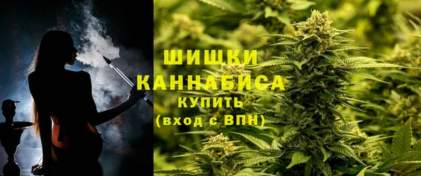 винт Богданович